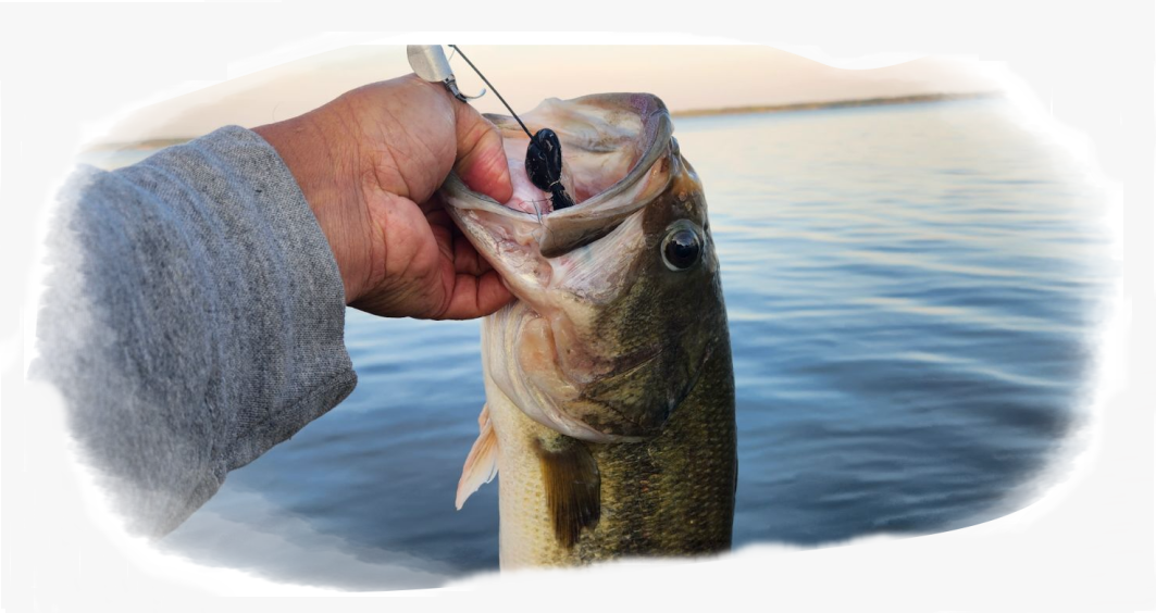 fishing guide services