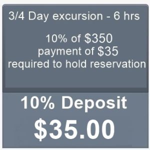 3/4 Day Excursion